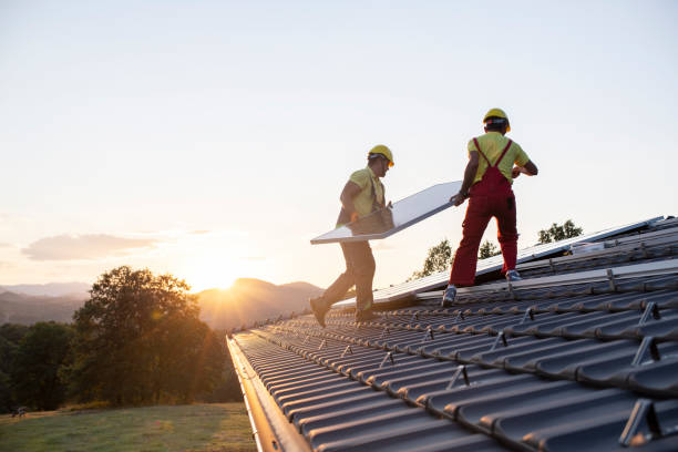 Best Gutter Replacement  in Dorr, MI