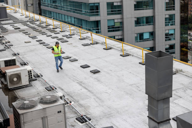 Best Roof Installation  in Dorr, MI