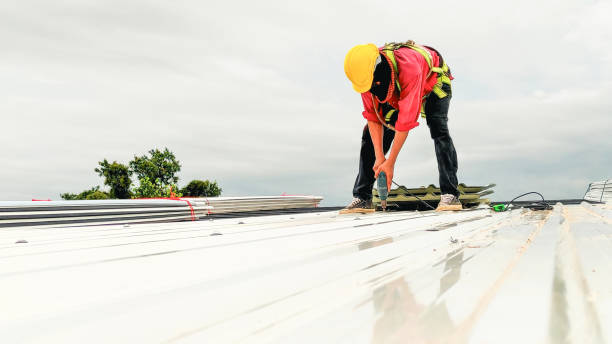 Best Siding  in Dorr, MI