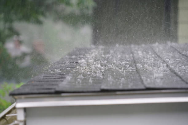 Best Green or Eco-Friendly Roofing Solutions  in Dorr, MI