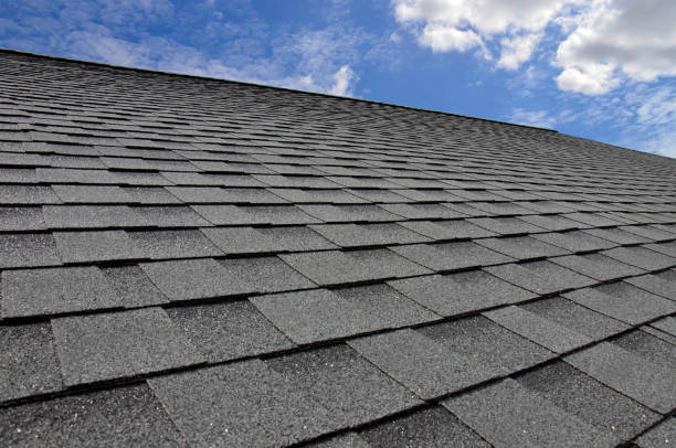 Best Roof Inspection  in Dorr, MI