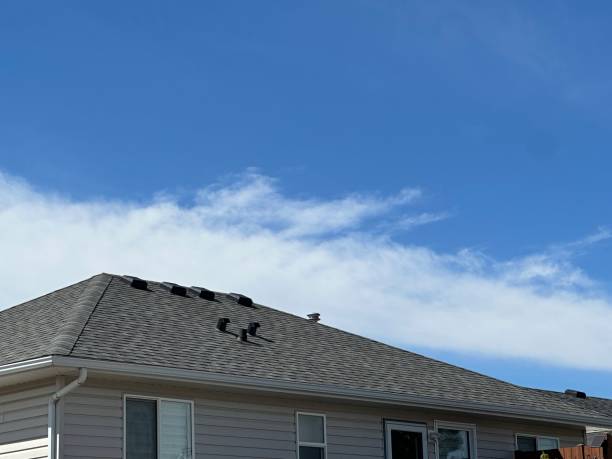 Best Chimney Flashing Repair  in Dorr, MI